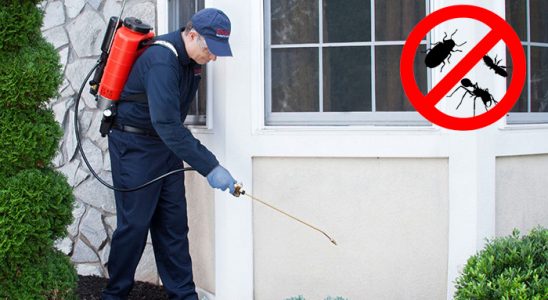 Ulubey Dezenfeksiyon böcek ilaçlama ve haşere kontrolü — ilaclama-tr.com